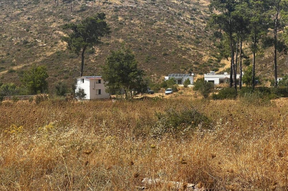 Bodrum Gökpınar 16680 m2 5 Parsel Orman Cepheli Çiftlik Arazisi