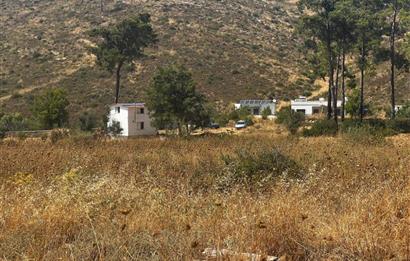 Bodrum Gökpınar 16680 m2 5 Parsel Orman Cepheli Çiftlik Arazisi