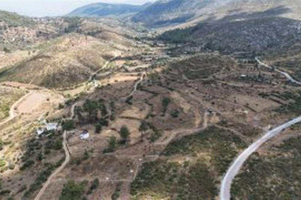 Bodrum Gökpınar 16680 m2 5 Parsel Orman Cepheli Çiftlik Arazisi