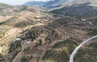 Bodrum Gökpınar 16680 m2 5 Parsel Orman Cepheli Çiftlik Arazisi