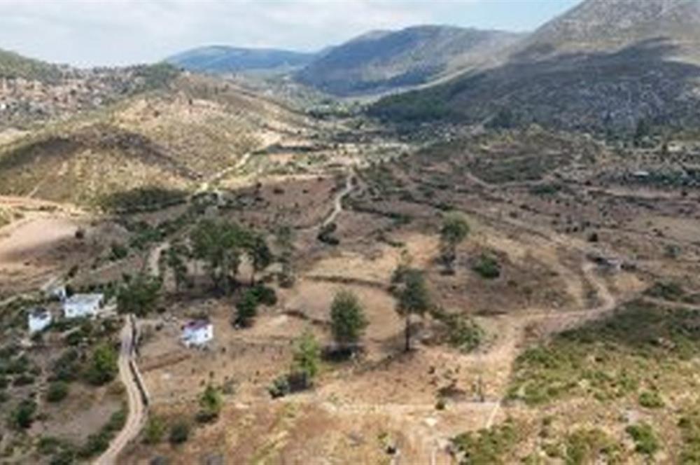 Bodrum Gökpınar 16680 m2 5 Parsel Orman Cepheli Çiftlik Arazisi