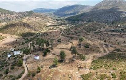 Bodrum Gökpınar 16680 m2 5 Parsel Orman Cepheli Çiftlik Arazisi