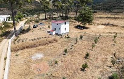 Bodrum Gökpınar 16680 m2 5 Parsel Orman Cepheli Çiftlik Arazisi