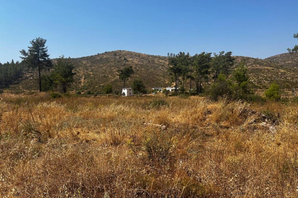 Bodrum Gökpınar 16680 m2 5 Parsel Orman Cepheli Çiftlik Arazisi