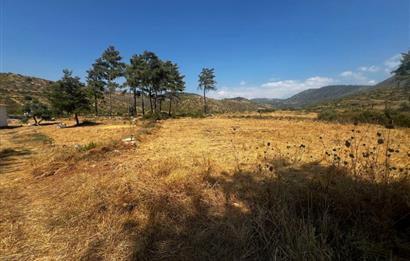Bodrum Gökpınar 16680 m2 5 Parsel Orman Cepheli Çiftlik Arazisi