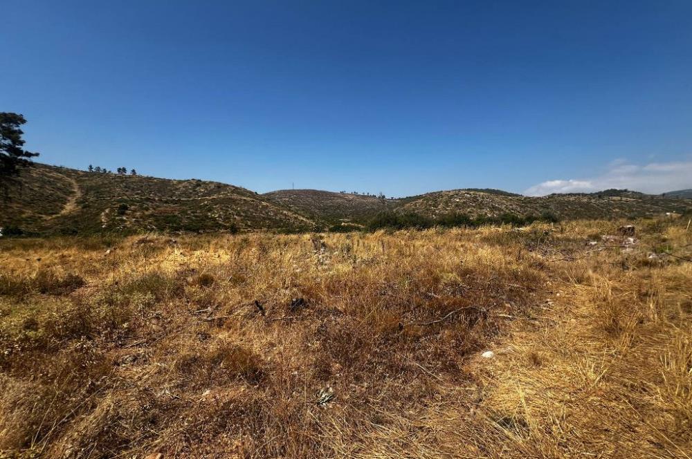 Bodrum Gökpınar 16680 m2 5 Parsel Orman Cepheli Çiftlik Arazisi