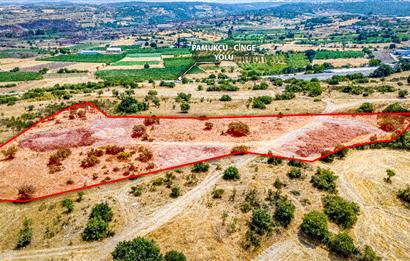 CENTURY 21. LOCA GAYRİMENKUL'DEN Balıkesir Pamukçuda Tarla