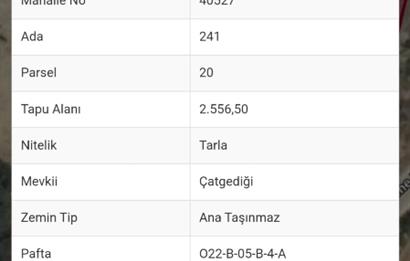 Burdur Altınyayla'da Ana Yola Cepheli SatılıkTarla