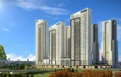NLOGO İSTANBUL SATILIK SATIŞ OFİSİ
