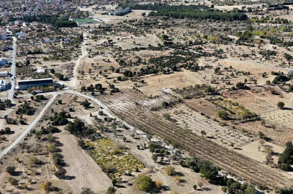 Kızılcabölük'te Yatırıma Uygun Badem Bahçesi