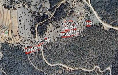Pamukkale/Güzelpınar'da İmara yeni Açılmış Fırsat Arsalar