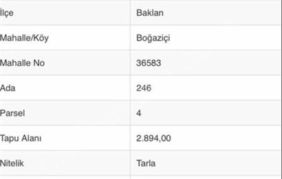 Denizli/Baklan/Boğaziçi Mahallesinde Satılık Fırsat Tarla