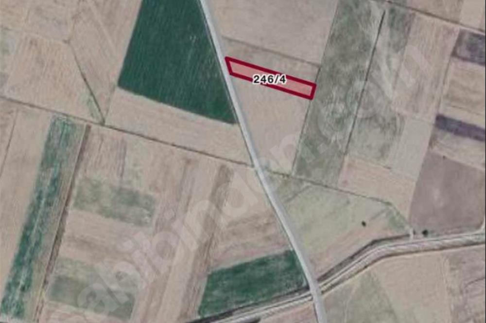 Denizli/Baklan/Boğaziçi Mahallesinde Satılık Fırsat Tarla