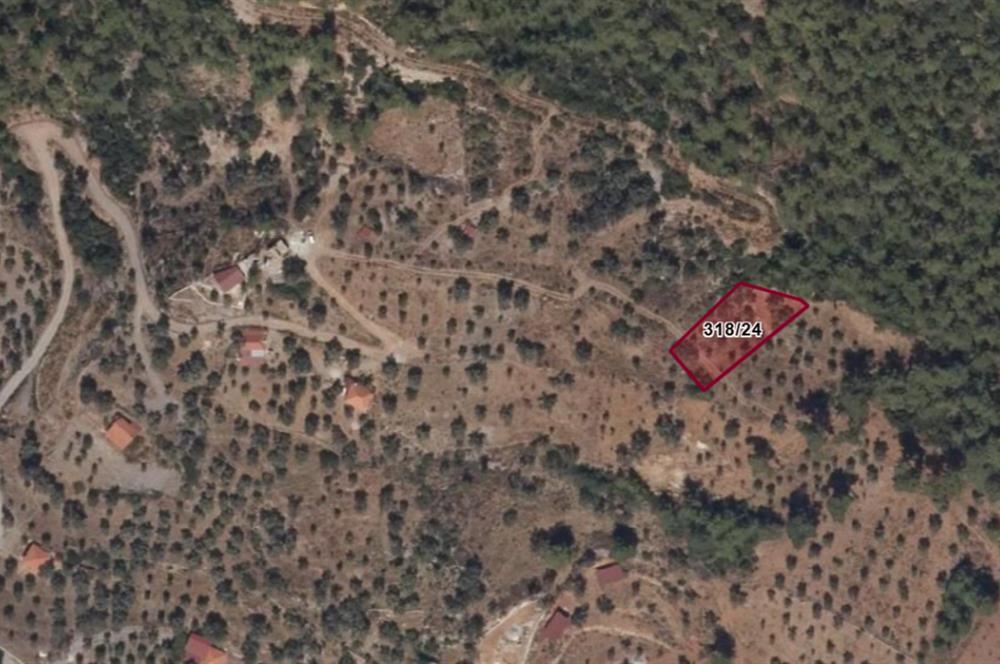 Muğla Akbük Deniz manzaralı Satılık Tarla