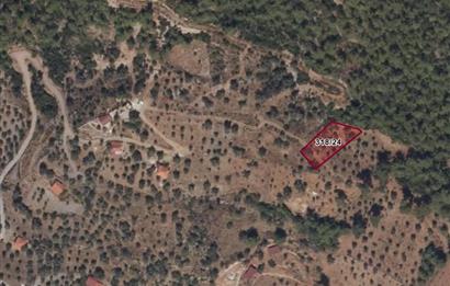 Muğla Akbük Deniz manzaralı Satılık Tarla
