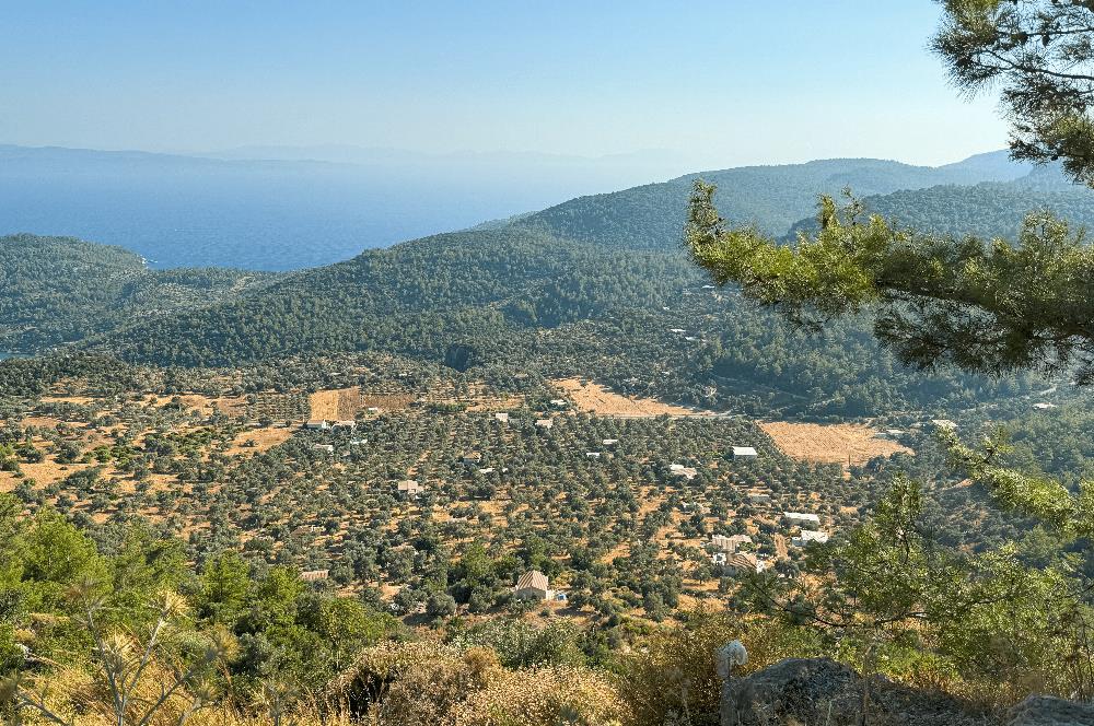 Muğla Akbük Deniz manzaralı Satılık Tarla