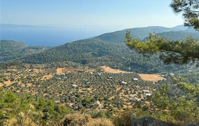 Muğla Akbük Deniz manzaralı Satılık Tarla