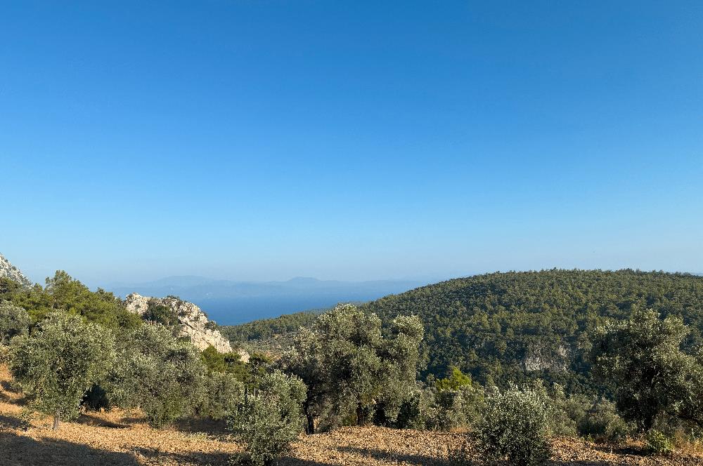 Muğla Akbük Deniz manzaralı Satılık Tarla