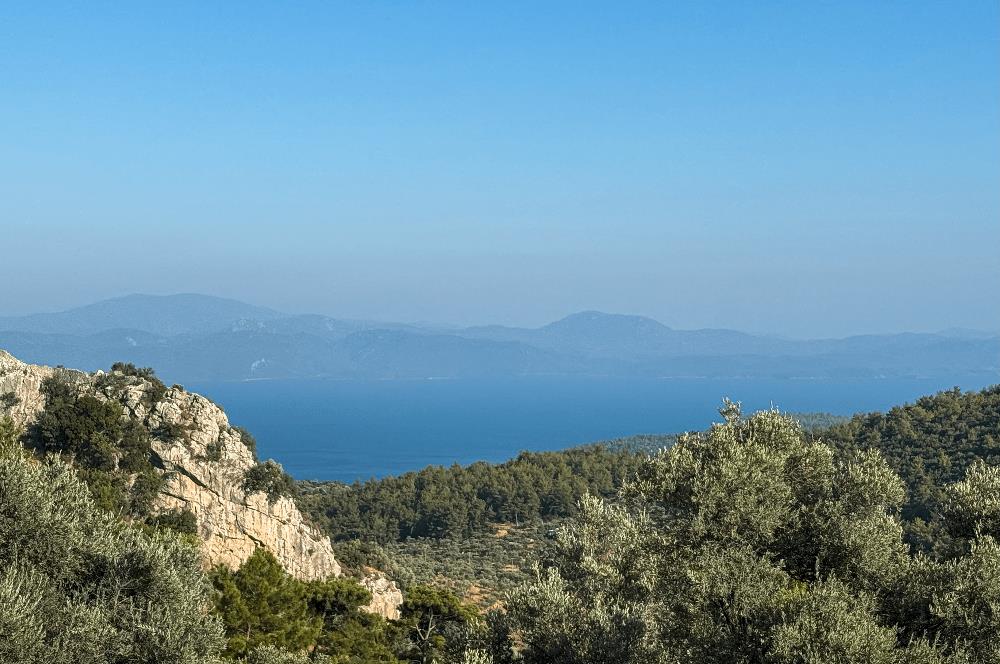 Muğla Akbük Deniz manzaralı Satılık Tarla