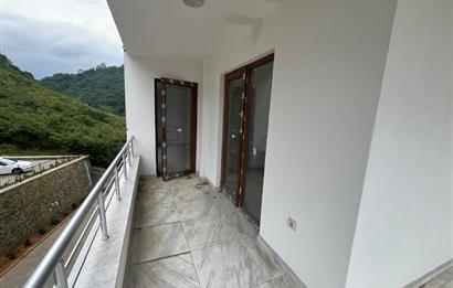 C21 Uzman'dan ARSİN YEŞİLCE 3+1
