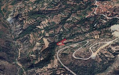 CENTURY 21 VİZYON'DAN ESKİŞEHİR DAĞKÜPLÜ MAHALLESİNDE  SATILIK BAHÇE