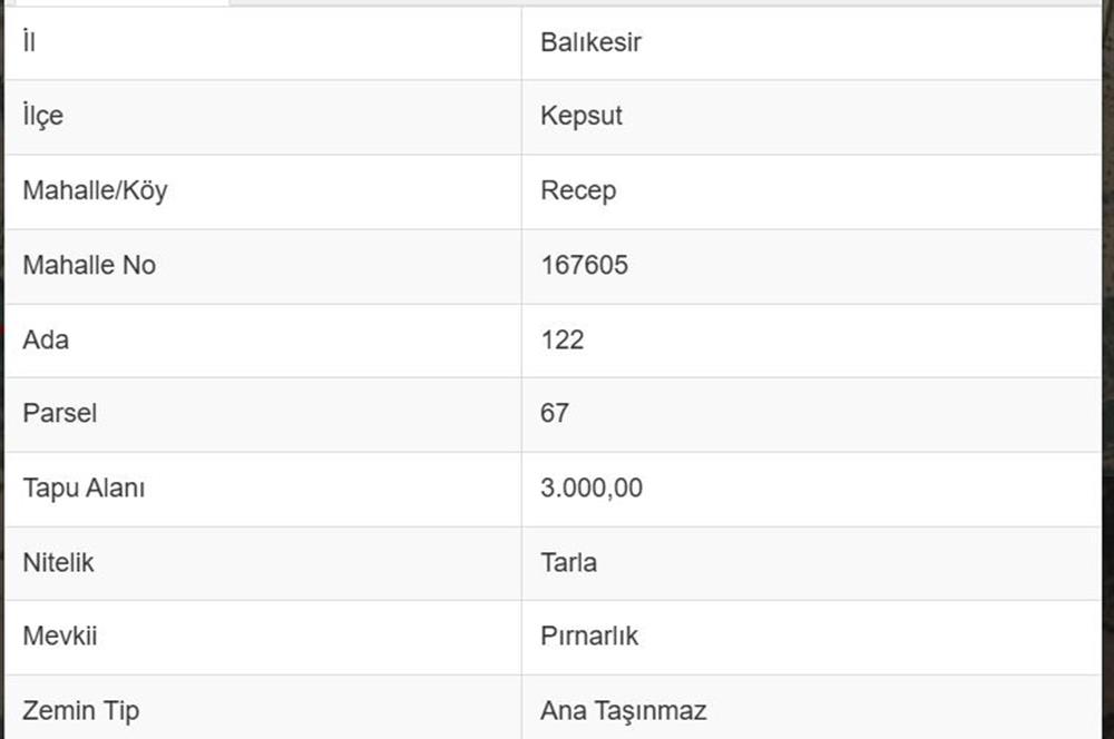CENTURY21 BAL DANIŞMANLIK'DAN    KEPSUT RECEPKÖY  MAHALLESİ  SATILIK TARLA
