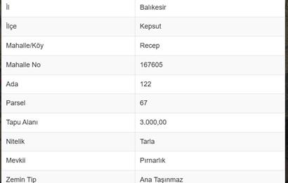 CENTURY21 BAL DANIŞMANLIK'DAN    KEPSUT RECEPKÖY  MAHALLESİ  SATILIK TARLA