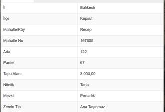 CENTURY21 BAL DANIŞMANLIK'DAN    KEPSUT RECEPKÖY  MAHALLESİ  SATILIK TARLA