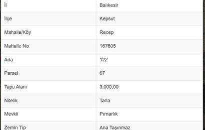 CENTURY21 BAL DANIŞMANLIK'DAN    KEPSUT RECEPKÖY  MAHALLESİ  SATILIK TARLA