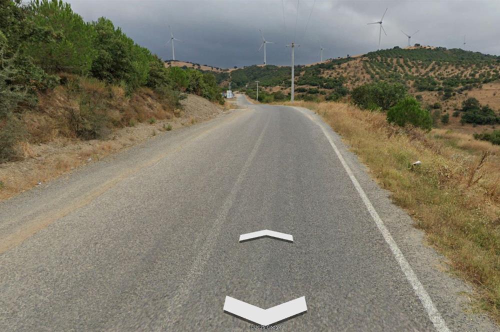 CENTURY21 BAL DANIŞMANLIK'DAN    KEPSUT RECEPKÖY  MAHALLESİ  SATILIK TARLA