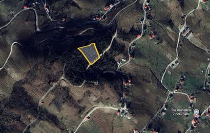 TOSKÖY'DE TOKİYE KOMŞU MÜKEMMEL MANZARALI TURİZM YATIRIMLIK ARSA
