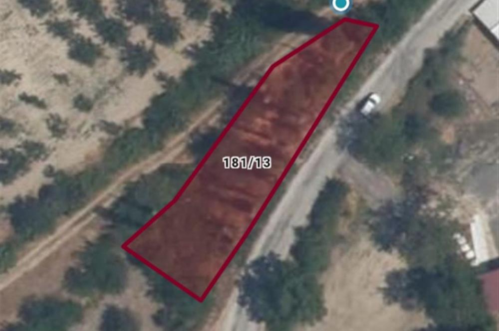C21 BAL'DAN TAŞKÖY MAH.DE KÖY İÇİ SATILIK 592 M2 ARSA