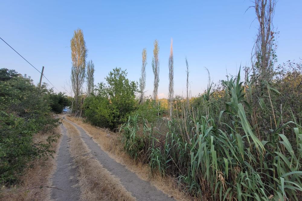 C21 BAL'DAN TAŞKÖY MAH.DE KÖY İÇİ SATILIK 592 M2 ARSA