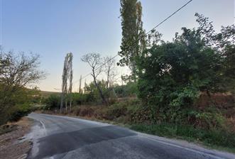 C21 BAL'DAN TAŞKÖY MAH.DE KÖY İÇİ SATILIK 592 M2 ARSA