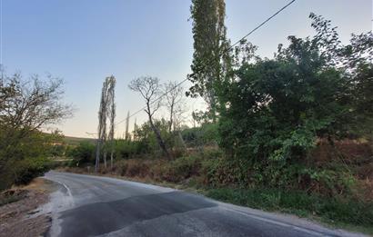 C21 BAL'DAN TAŞKÖY MAH.DE KÖY İÇİ SATILIK 592 M2 ARSA