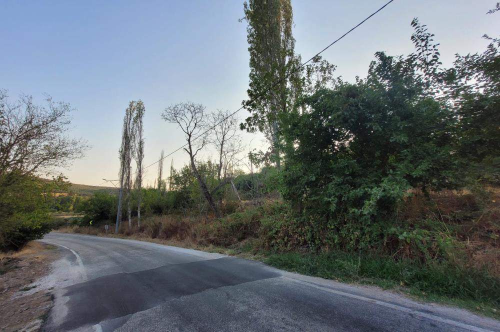 C21 BAL'DAN TAŞKÖY MAH.DE KÖY İÇİ SATILIK 592 M2 ARSA