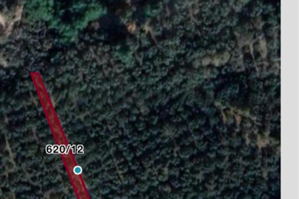 CENTURY21 BAL'DAN GÜREDE DENİZ MANZARALI SATILIK 492 M2 ZEYTİNLİK