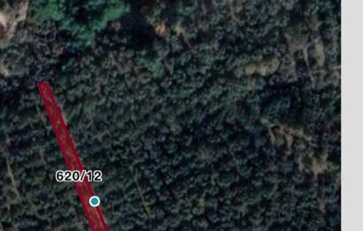 CENTURY21 BAL'DAN GÜREDE DENİZ MANZARALI SATILIK 492 M2 ZEYTİNLİK