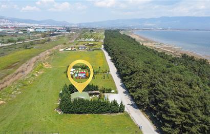C21 Cius; İznik Gölü'nde Arsa Fiyatına Kurulu İşletme