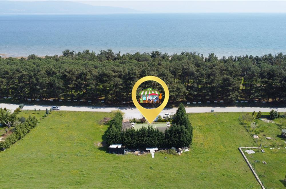 C21 Cius; İznik Gölü'nde Arsa Fiyatına Kurulu İşletme
