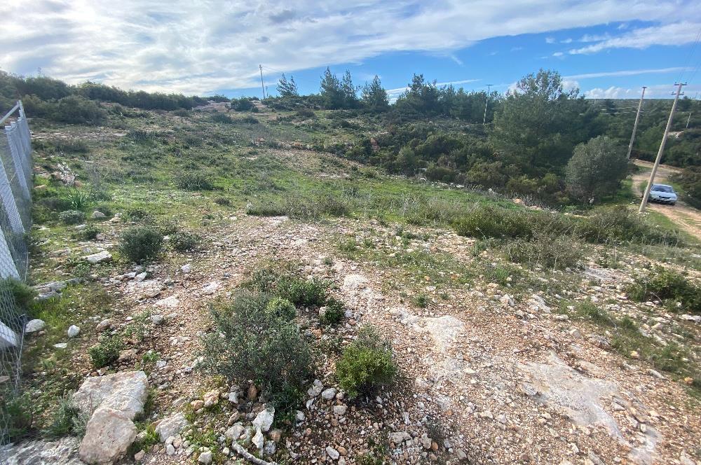 DİDİM/AKYENİKÖY’DE 585 M2, BAFA GÖLÜ MANZARALI, SATILIK VİLLA ARSASI