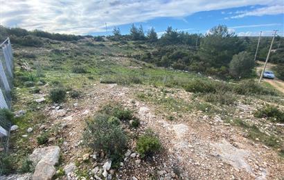 DİDİM/AKYENİKÖY’DE 585 M2, BAFA GÖLÜ MANZARALI, SATILIK VİLLA ARSASI