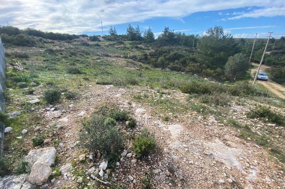 DİDİM/AKYENİKÖY’DE 585 M2, BAFA GÖLÜ MANZARALI, SATILIK VİLLA ARSASI