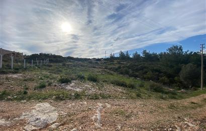 DİDİM/AKYENİKÖY’DE 585 M2, BAFA GÖLÜ MANZARALI, SATILIK VİLLA ARSASI