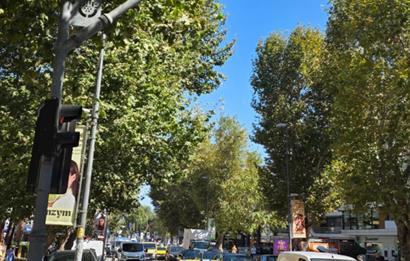CADDEBOSTAN BAĞDAT CADDESİ ÜZERİ DEVREN KİRALIK ECZANE