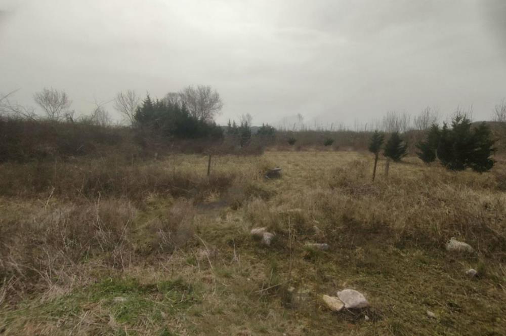 Şile Kurfallı'da 1900m² Satılık Arsa