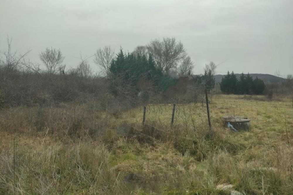 Şile Kurfallı'da 1900m² Satılık Arsa