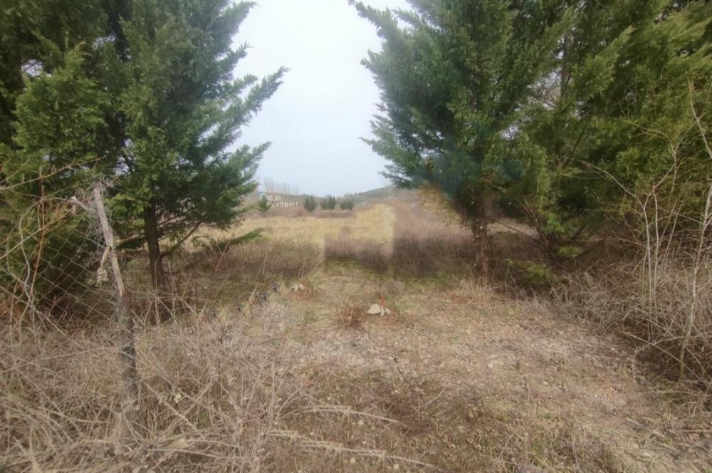 Şile Kurfallı'da 1900m² Satılık Arsa