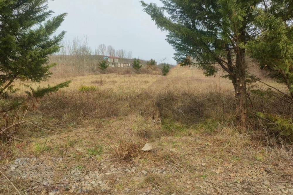 Şile Kurfallı'da 1900m² Satılık Arsa
