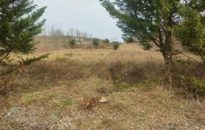 Şile Kurfallı'da 1900m² Satılık Arsa